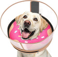 Inflatable Dog Cone with Transparent Shield, Protective Dog Donut Collar After by Didopet