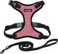 Voyager Escape-Proof Step-in Lock Cat Harness & 5ft Neoprene-Handle Leash Set by BestPetSuppliesLLC