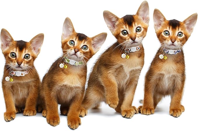 4 Pack Cotton Breakaway Cat Collar - Image 6