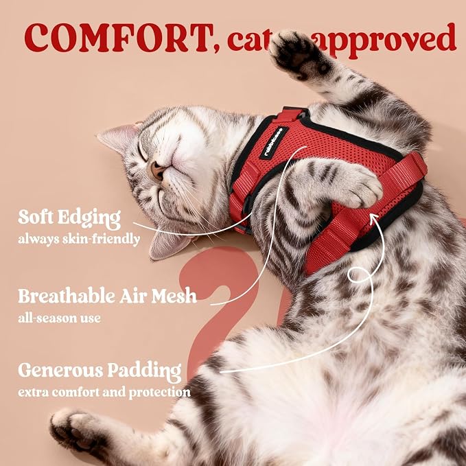 rabbitgoo Cat Harness and Leash - Image 4