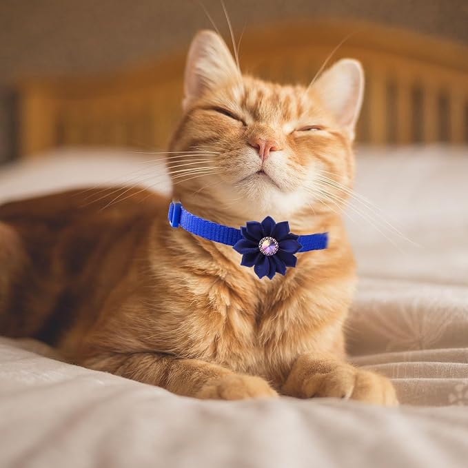13Pcs Puppy Collars, Cat ID Collars - Image 4