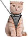 rabbitgoo Cat Harness and Leash Set by rabbitgoo