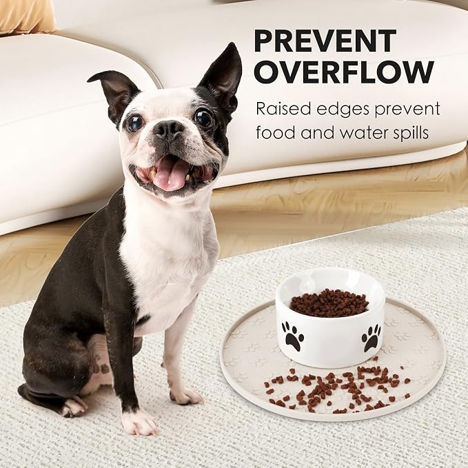Silicone Pet Food Mat - Image 5