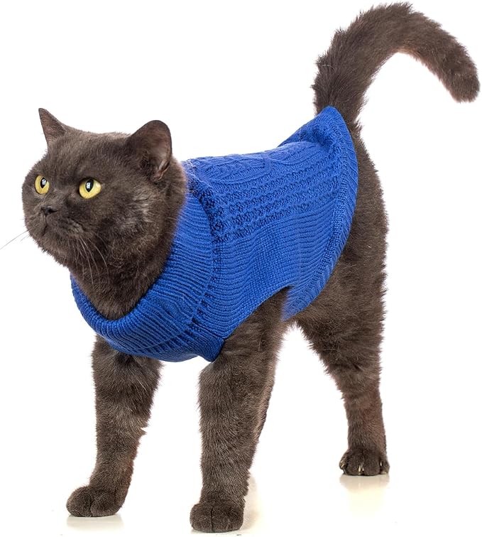 Stretchy Cat Sweater - Image 4