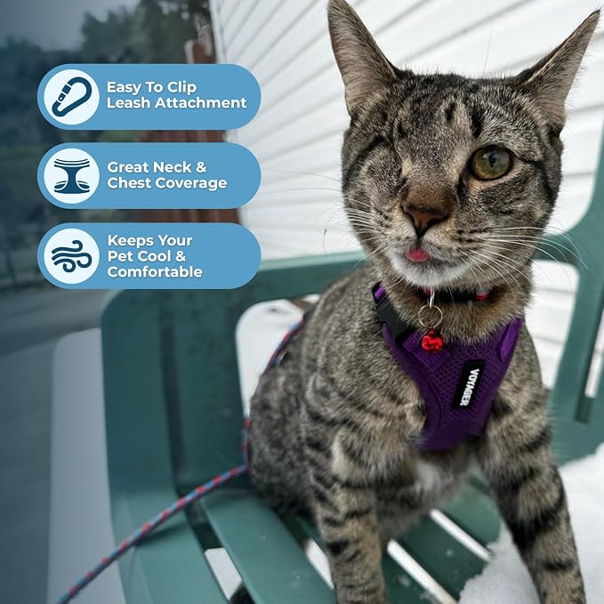 Voyager Escape-Proof Step-in Lock Cat Harness & 5ft Neoprene-Handle Leash Set - Image 5