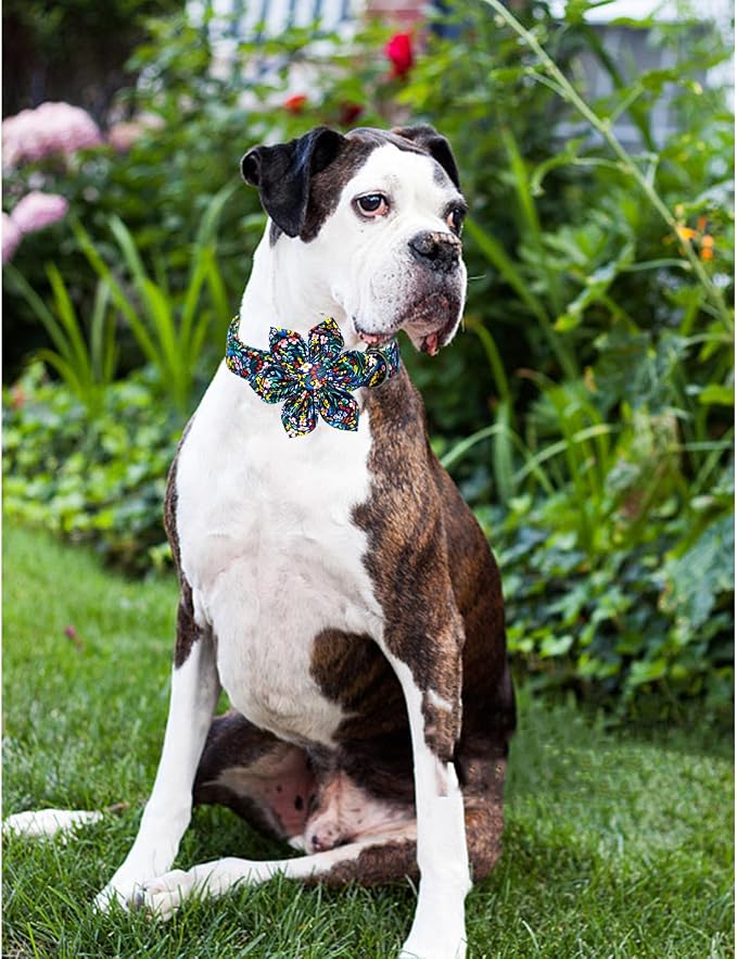 Lionheart Glory Darkblue Flower Dog Collar - Image 5