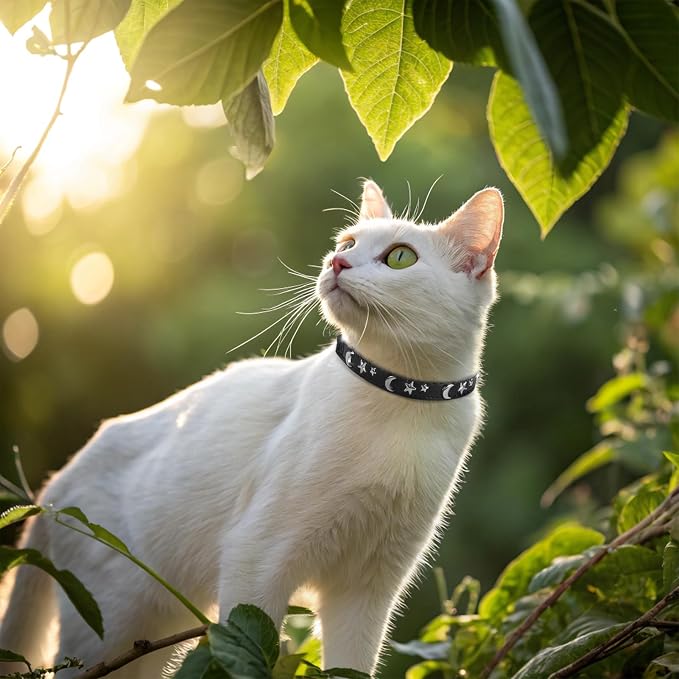 EXPAWLORER Cat Collar for Girl Boy Cats- Adjustable Leather Pet Collar - Image 6