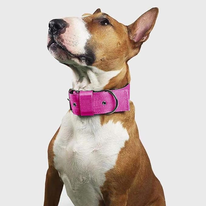 Heavy Duty Tactical Dog Collar - Image 6