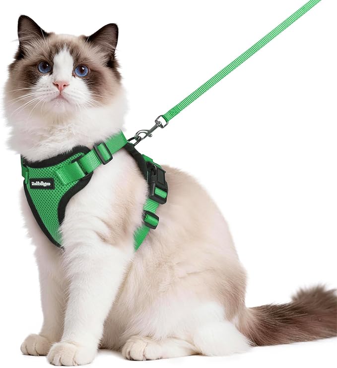 rabbitgoo Cat Harness and Leash by rabbitgoo