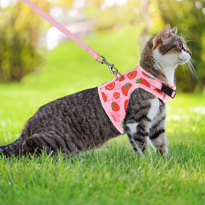 PUPTECK Soft Mesh Cat Vest Harness and Leash Set Puppy Padded Pet Harnesses - Image 5