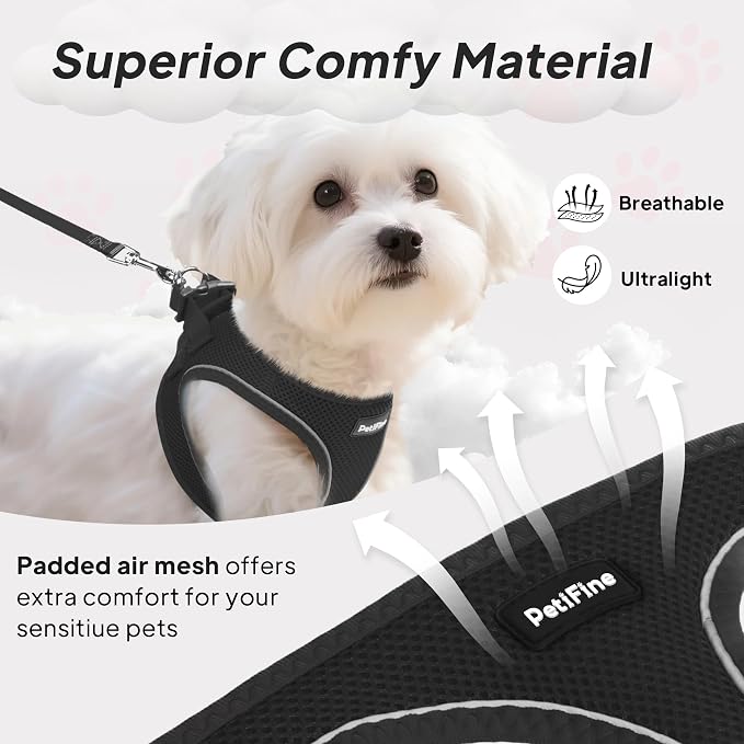 PetiFine Step in Small Dog Harness and Leash Set, Breathable All Weather Air - Image 2