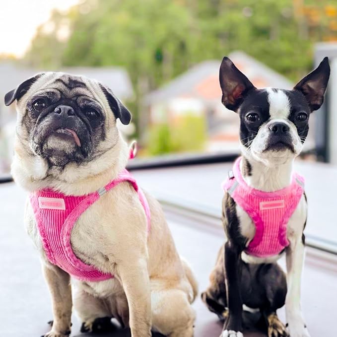 Best Pet Supplies - Image 2