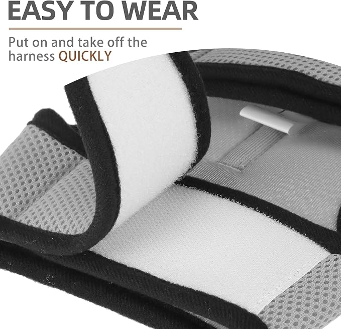 PUPTECK Soft Mesh Cat Vest Harness and Leash Set Puppy Padded Pet Harnesses - Image 5