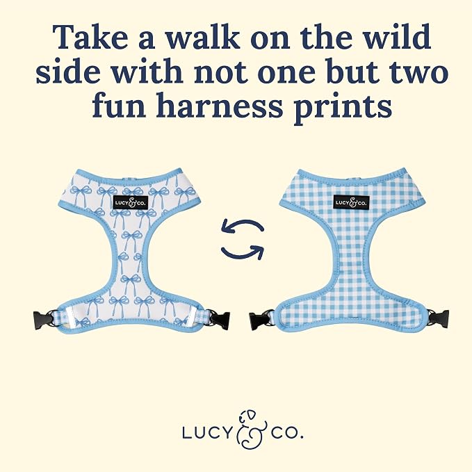 Lucy & Co. Cute Reversible Dog Harness Walking Halter - Image 3
