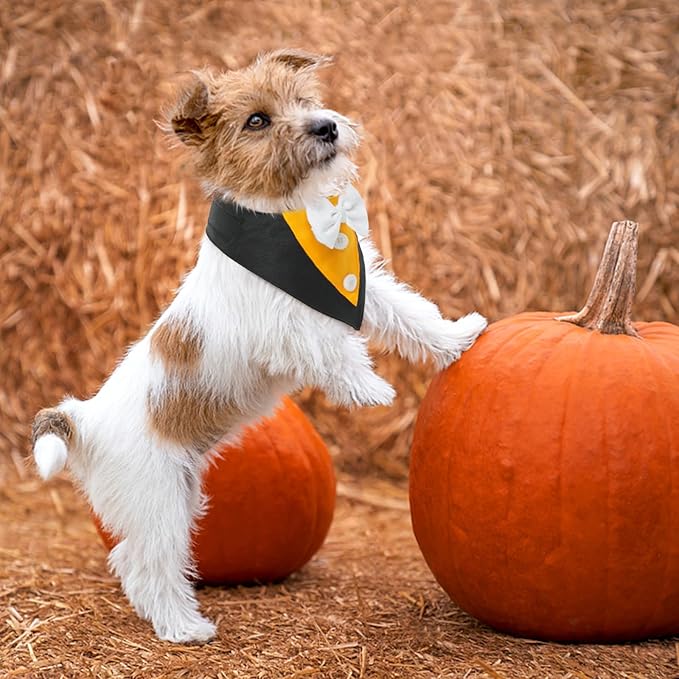 FUAMEY Dog Tuxedo Halloween for Medium Dogs, Dog Formal Suit Dogs Attire Pet - Image 4