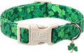 St. Patrick's Day Dog Collar, UP URARA PUP Shamrock Adjustable Pet Collar by UPURARAPUP