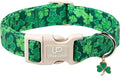 St. Patrick's Day Dog Collar, UP URARA PUP Shamrock Adjustable Pet Collar by UPURARAPUP