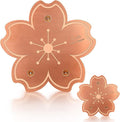 99.99% Pure Copper Bird Bath Disk, 2 Pack Triple-Point Support Design Lower by Yncotte