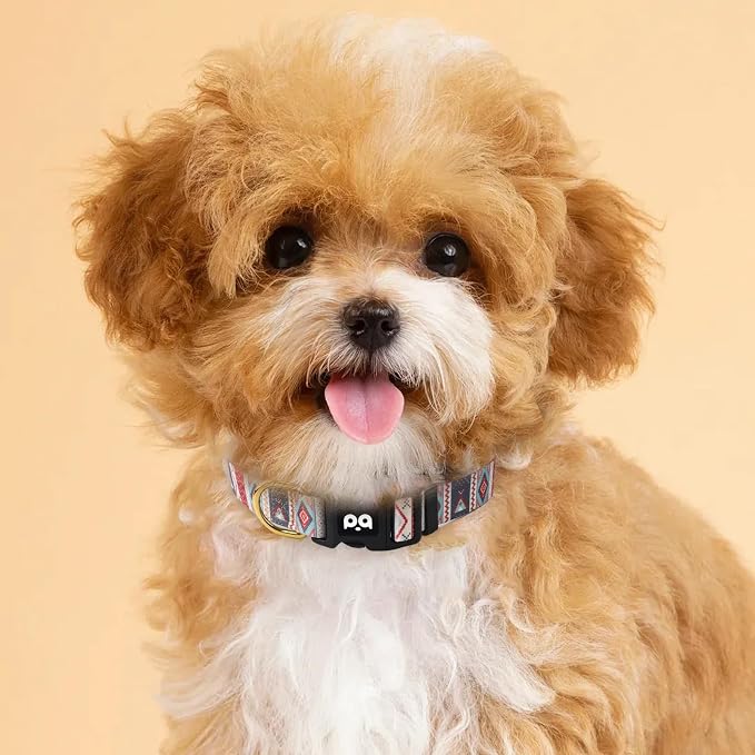 QQPETS Adjustable Soft Dog Collar: Print Flower Pink Multicolor Cute Patterns - Image 7