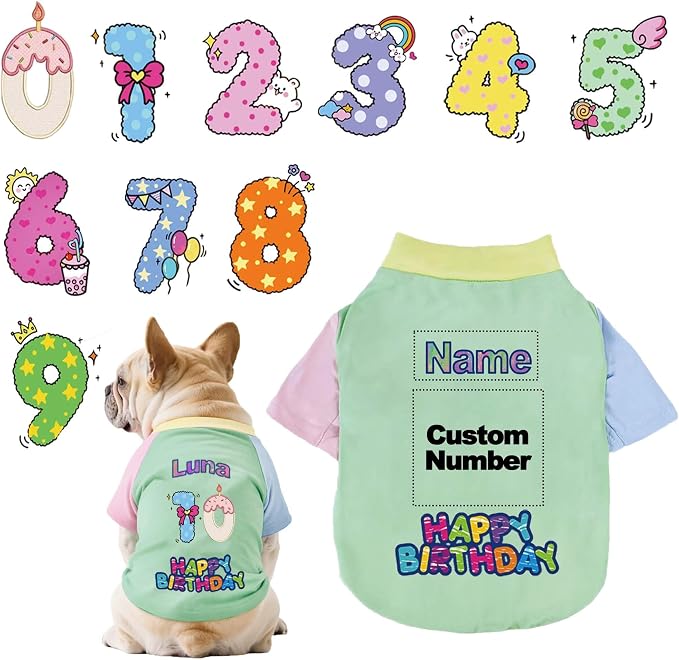 Custom Dog Birthday Shirt, Personalized Pet Apparel Print by Unknown