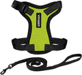 Voyager Escape-Proof Step-in Lock Cat Harness & 5ft Neoprene-Handle Leash Set by BestPetSuppliesLLC