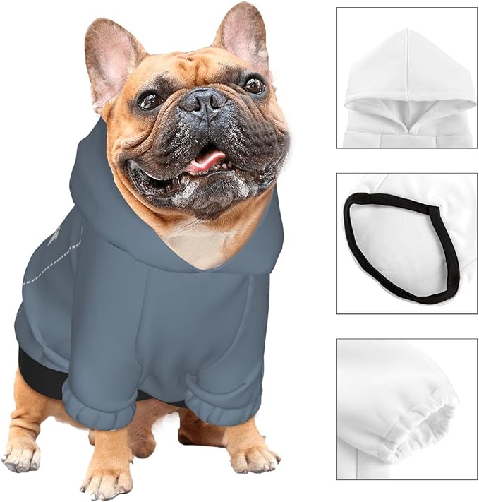 Personalized Chihuahua Dog Hoodie, Custom Pet Warm Sweatshirt Costume - Image 3