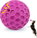 Interactive Squeaky Dog Balls, Dog Toys by DISSKNIC
