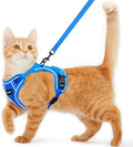 Cat Harness and Leash for Walking Escape Proof Soft Adjustable Cat Leash by Unknown