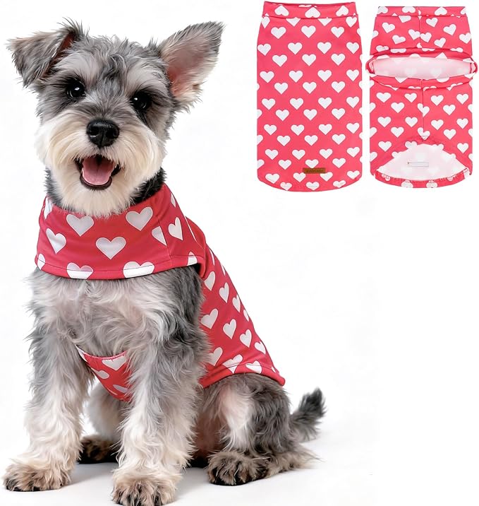 EXPAWLORER Cat Valentines Outfit Sweater by EXPAWLORER