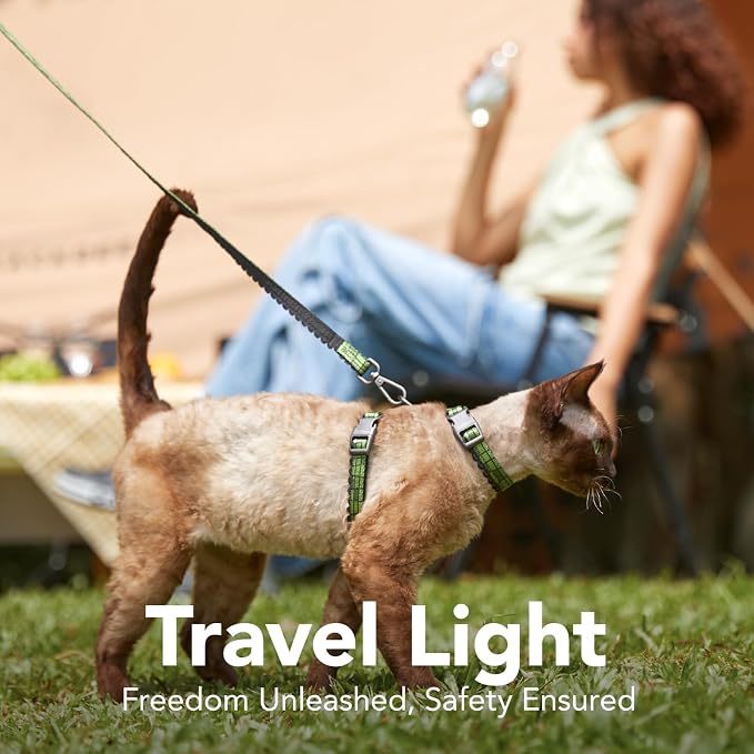 Cat Harness and Leash Set - Image 2