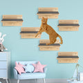 Lenwen Set of 6 Cat Wall Steps Shelf Shelves Wood Cat Climbing Shelves by Lenwen