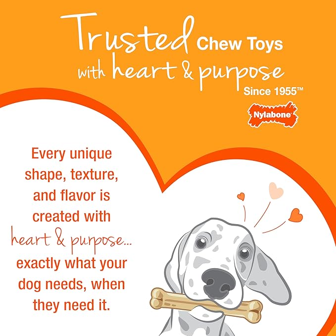 Nylabone Original & Textured Bone Power Chew Toy - Image 13