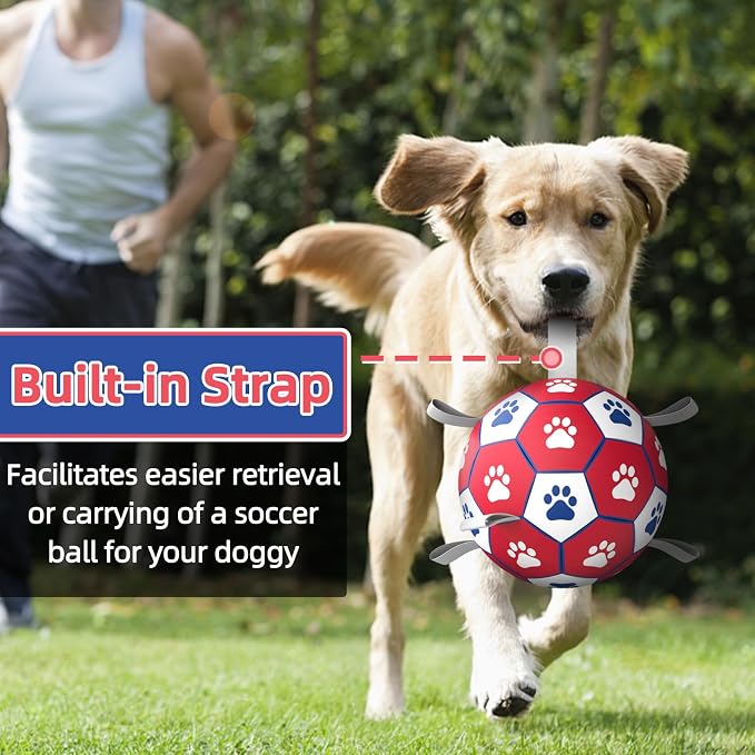Diman Premium Dog Toys Ball, Interactive Dog Toys - Image 2