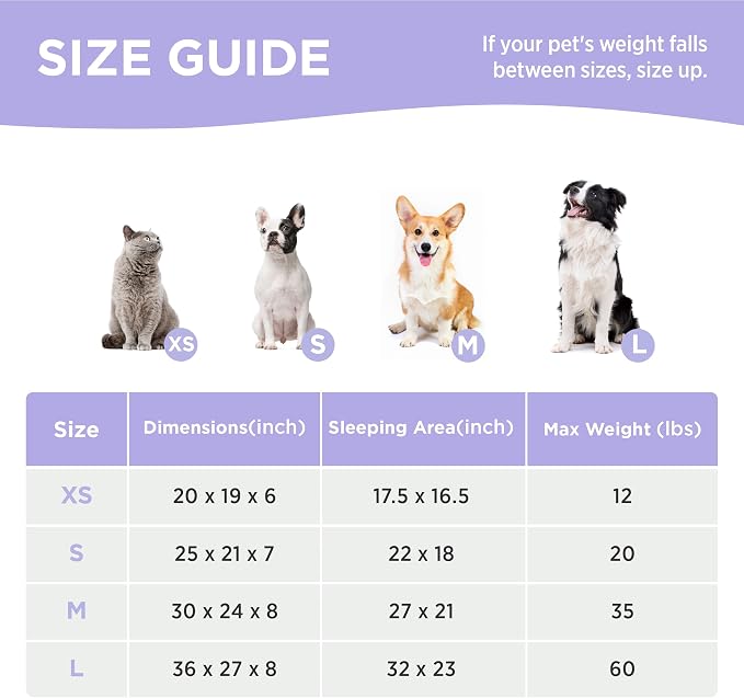 LE SURE Cute Dog Bed for Medium Dogs - Image 6
