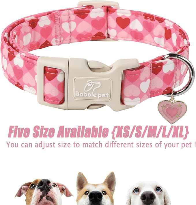 Valentines Dog Collar for Small Dogs