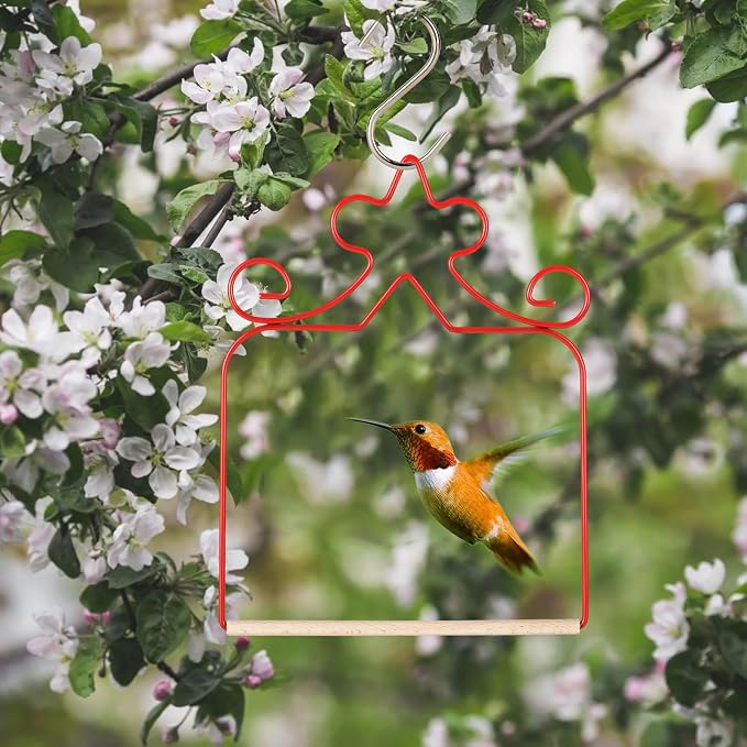 Hummingbird Swings 4 Pack, Rust Resistant Metal Frame - Image 5