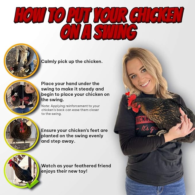 Chicken Swing Toy for Coop Handmade in USA Natural Safe Wooden Accessories - Image 3