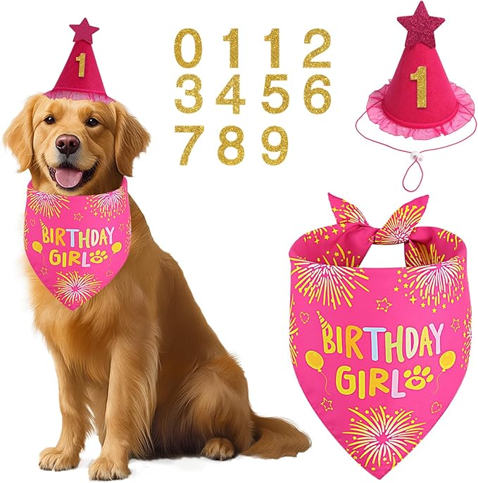 Dog Birthday Decorations Rose Pink, Dog Birthday Party Supplies by Unknown