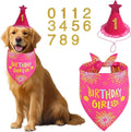 Dog Birthday Party Supplies, Rose Pink Dog Birthday Set by Unknown