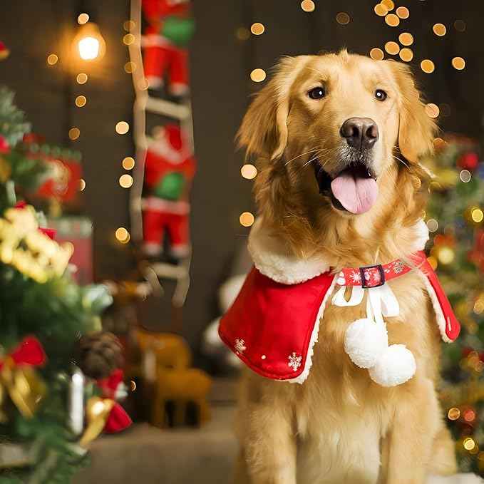 Christmas Dog Collar with Buckle Adjustable Safety Nylon Collars