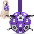 QDAN Soccer Ball for Dogs by QDAN
