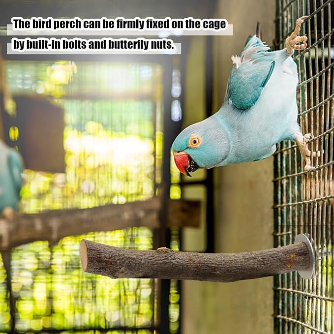 8 PCS Natural Bird Perch Set - Image 9