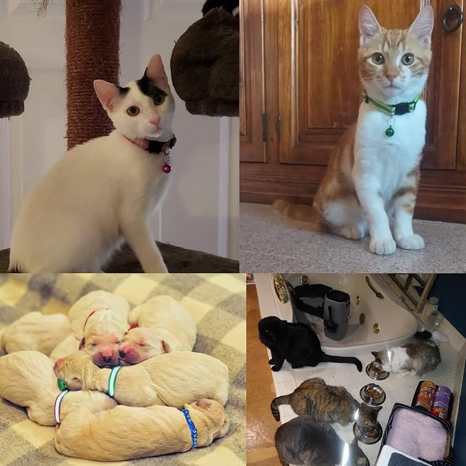 18Pcs Reflective Cat ID Collars - Image 4