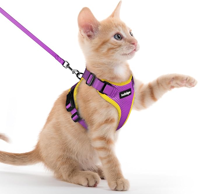 rabbitgoo Cat Harness and Leash by rabbitgoo