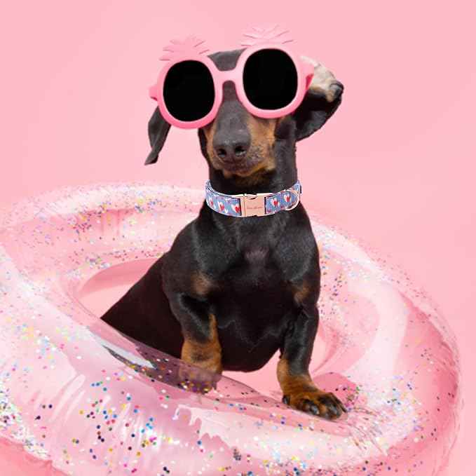 Unique style paws Valentine's Day Dog Collar Metal Buckle Collar Blue Pink Love