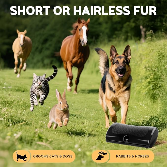 Deshedding Dog Brush & Pet Hair Remover Comb – Grooming Tool - Image 7