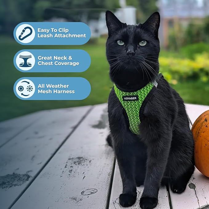 Best Pet Supplies - Image 5