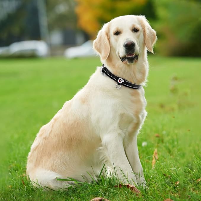 azuza Reflective Dog Collar, Soft Neoprene Padded Pet Collar - Image 5