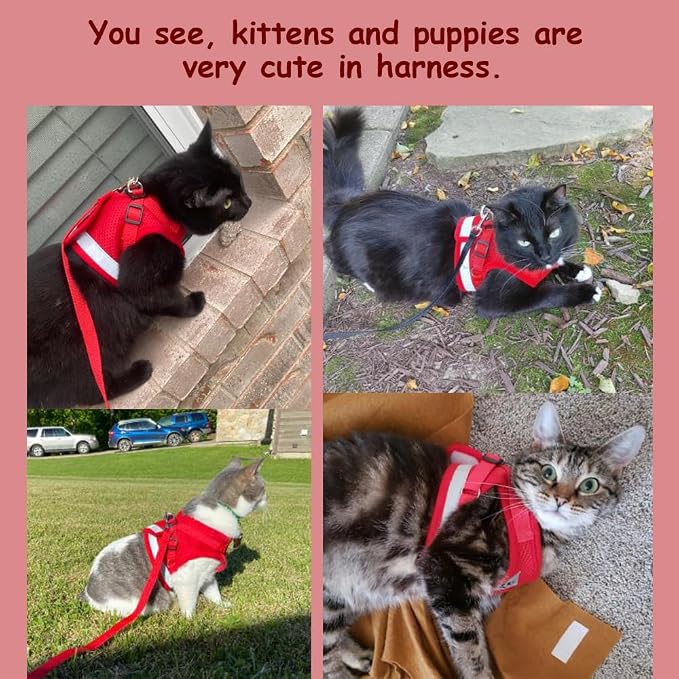 Cat Harnesses and Puppy Harness - Image 3