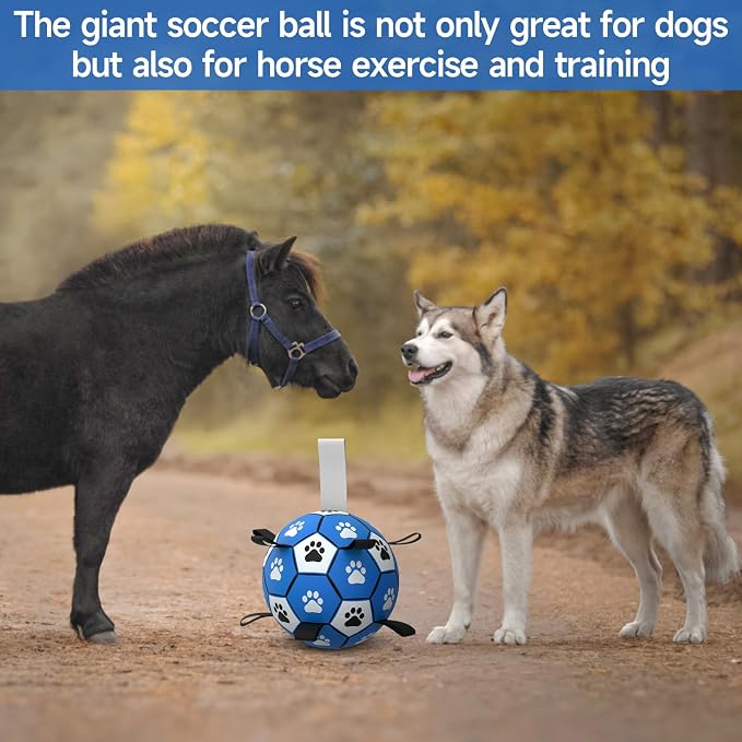 QDAN Extra Large Dog Toys Soccer Ball - Image 2